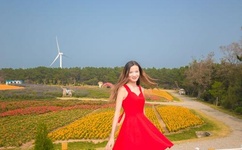 精品偷拍一区二区三区在线看